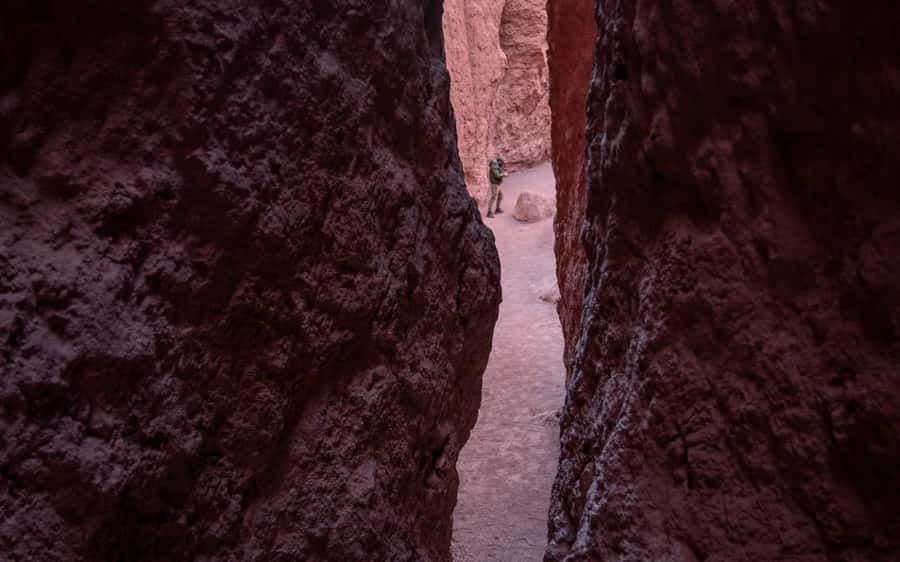 San Pedro de Atacama: Rainbow Valley and Petroglyphs Tour - Key points to know before you go