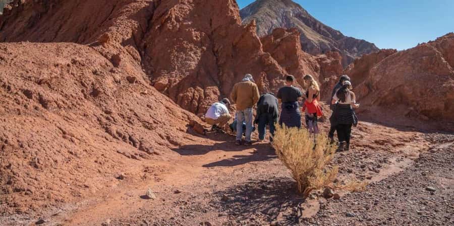 San Pedro de Atacama: Rainbow Valley & Good Herbs Tour - Breakfast beside the desert rock
