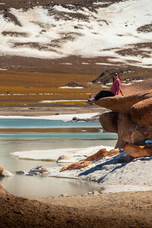 San Pedro de Atacama: Red Rocks & Altiplano Lagoons Day Trip - Key points at a glance