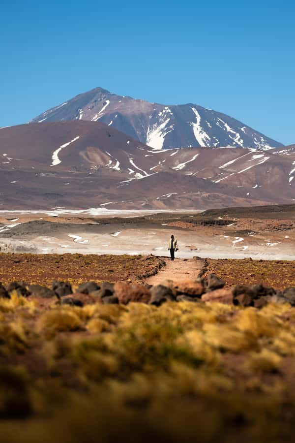 San Pedro de Atacama: Red Rocks & Altiplano Lagoons Day Trip - What the guides and drivers add