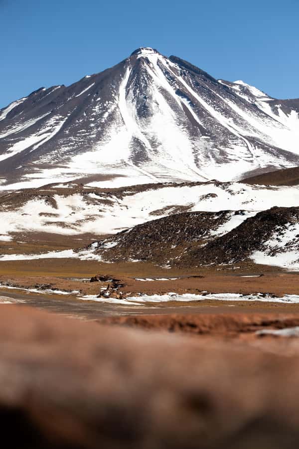San Pedro de Atacama: Red Rocks & Altiplano Lagoons Day Trip - Chaxa Lagoon and the Atacama flamingos