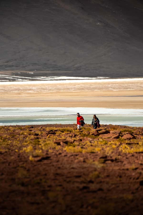 San Pedro de Atacama: Red Rocks & Altiplano Lagoons Day Trip - Red Rocks at Salar de Aguas Calientes