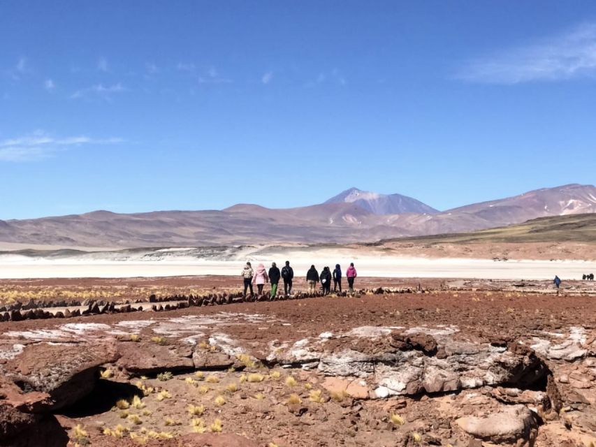 San Pedro de Atacama: Red Rocks & Altiplano Lagoons Day Trip - Lunch and the long return across the Altiplano