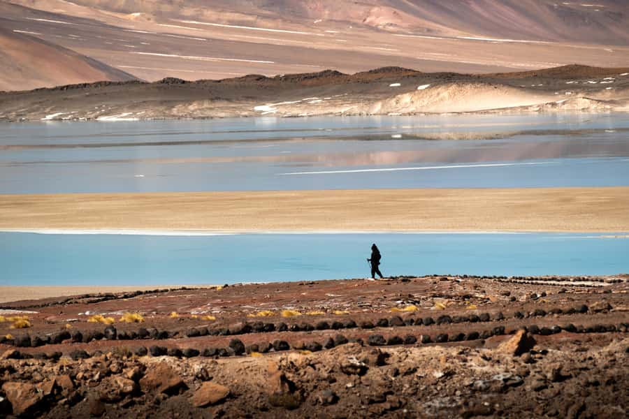 San Pedro de Atacama: Red Rocks & Altiplano Lagoons Day Trip - Miscanti and Miñiques Lagoons above 4,000 meters