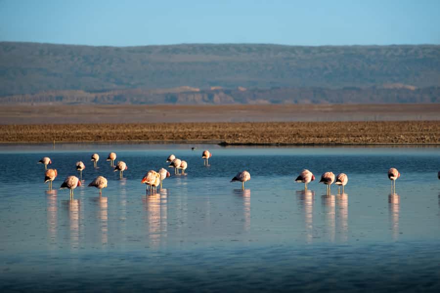 San Pedro de Atacama: Red Rocks & Altiplano Lagoons Day Trip - Socaire, a brief change of pace