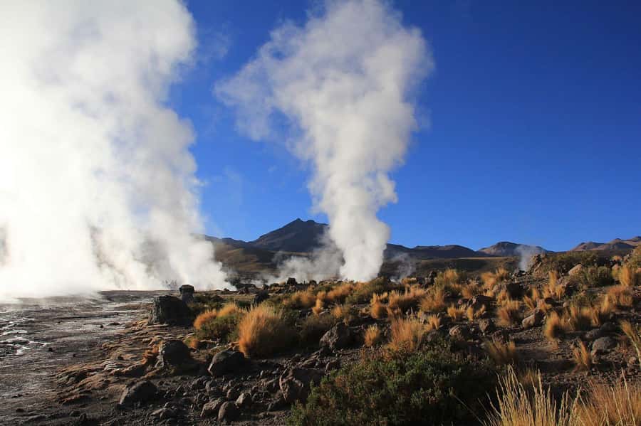 San Pedro de Atacama: Tatio Geysers and Machuca Tour - Key points to know before booking