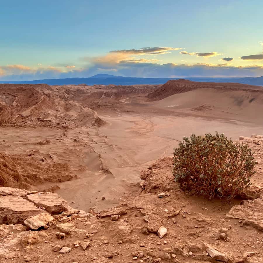 San Pedro de Atacama Tour Guiado Valle de la Luna & Cocktail - Is $50 a fair price?