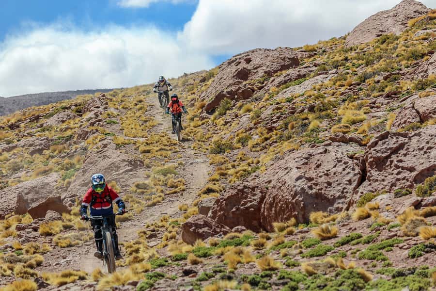 San Pedro de Atacama: Volcano Downhill Bike Tour - The 15-Mile Descent Through Volcanic Ground