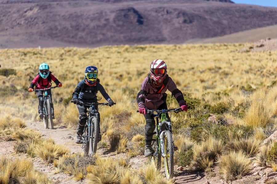 San Pedro de Atacama: Volcano Downhill Bike Tour - Who Should Book This Tour?