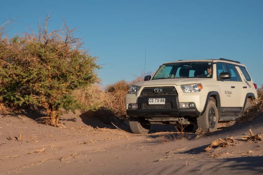 San Pedro de Atacama: Wildlife Safari and Photography Tour - Guide quality and the feel of a private outing