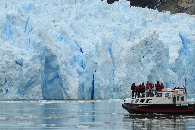 San Rafael Glacier Lagoon Cruise with Breakfast, Lunch & Whisky - Key points before you book