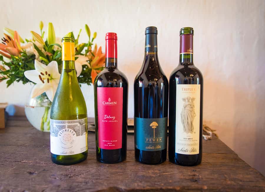 Santa Rita: Tour + Premium Wine Tasting + Private Transport - Practical tips for a smoother visit