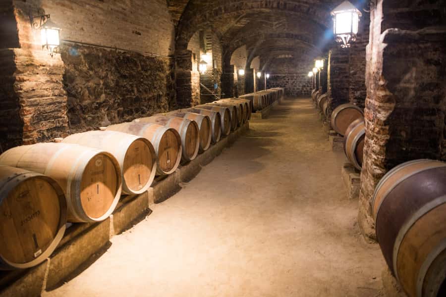 Santa Rita: Tour + Premium Wine Tasting + Private Transport - The one-hour ride south from Santiago