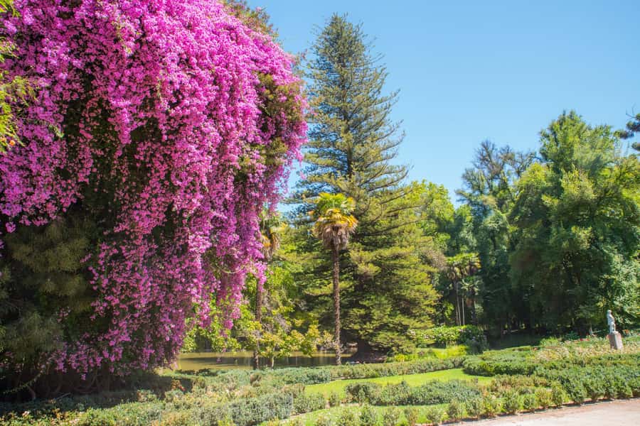 Santa Rita: Tour + Premium Wine Tasting + Private Transport - Entering Santa Rita’s historic estate