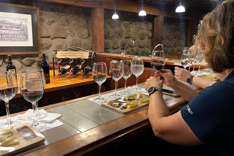 Santa Rita Vineyard Tour with Lunch, an Unforgettable Day! - Timing, languages, and practical details