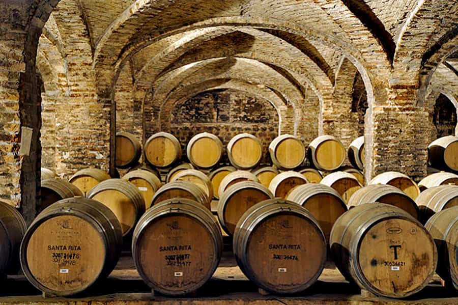 Santa Rita Vineyard Tour with Lunch, an Unforgettable Day! - The Andean Museum and its pre-Columbian collection