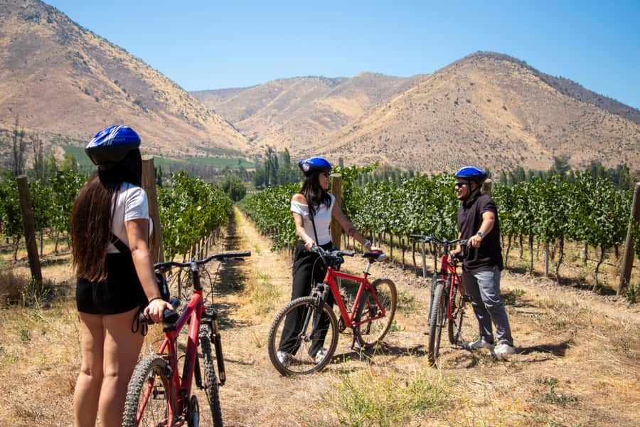 Santa Rita Vineyard Tour with Lunch, an Unforgettable Day! - Is the $207 price fair?