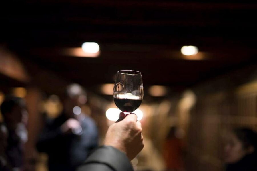 Santa Rita Vineyard Tour with Lunch, an Unforgettable Day! - Who will enjoy this Santa Rita experience?