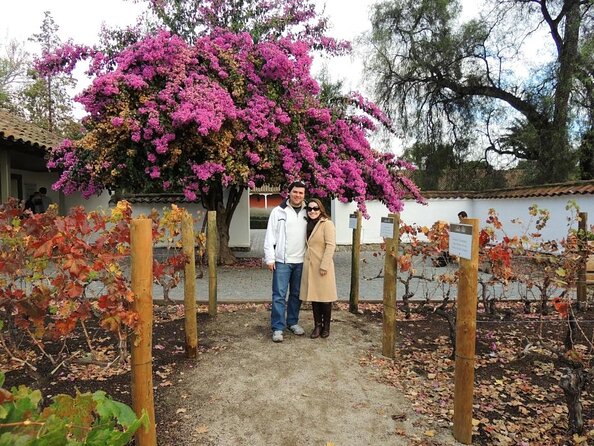 Santa Rita Vineyard Tour with Lunch An unforgettable experience! - Key points to know before booking