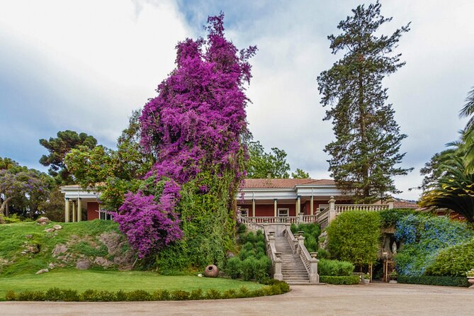Santa Rita Vineyard Tour with Lunch An unforgettable experience! - Why Santa Rita makes a good day out from Santiago