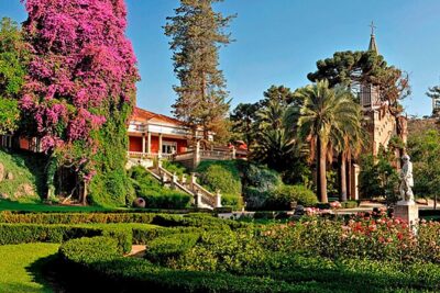 Santa Rita Vineyard Tour with Lunch An unforgettable experience!