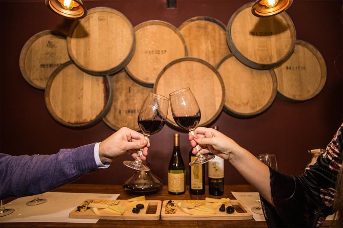 Santa Rita Winery Premium Tour - The Andean Museum: the cultural bonus