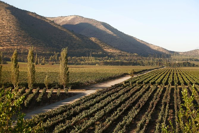 Santa Rita Winery Premium Tour - The chapel, park, gardens, and Roman baths