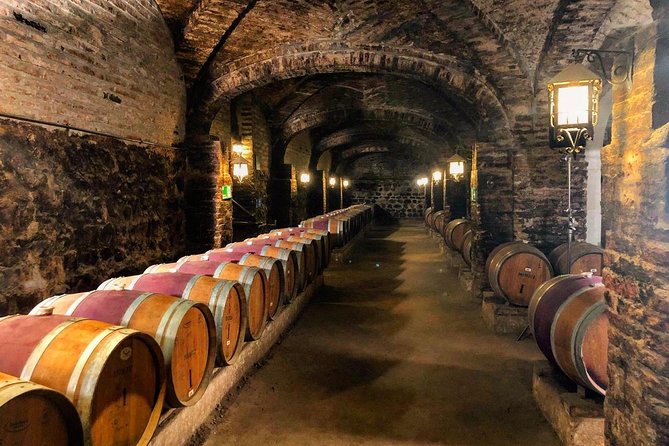 Santa Rita Winery Selection Tour - The three-wine tasting with cheese and crackers