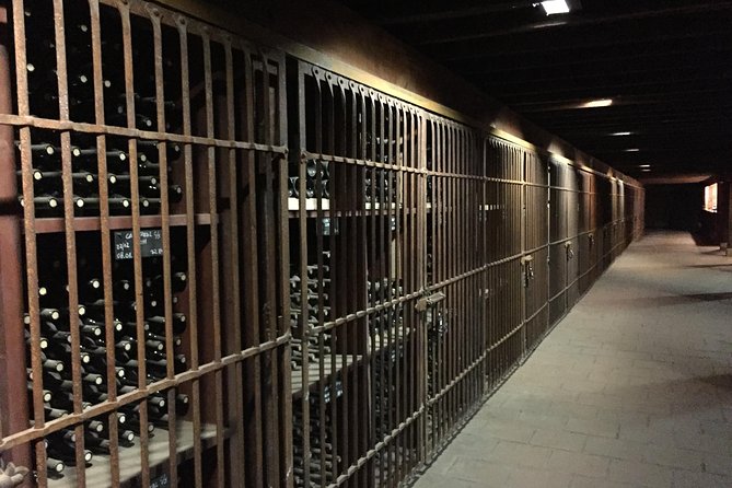 Santa Rita Winery Selection Tour - Group size, timing, and the feel of the visit