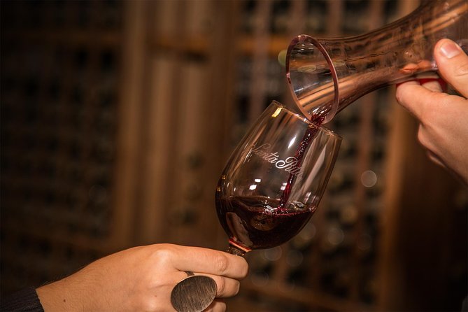 Santa Rita Winery Selection Tour - Walking through vineyards and grape varieties