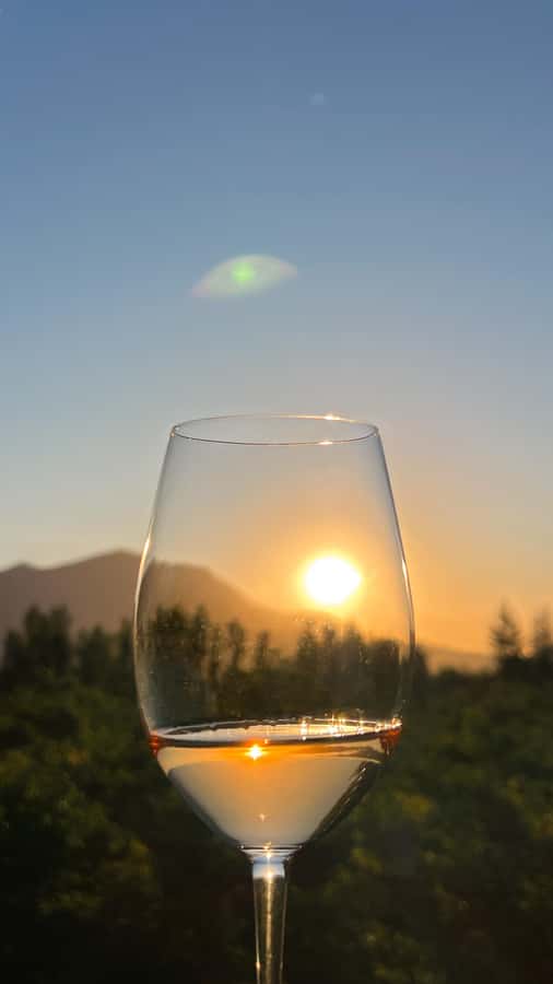 Santiago: Alyan Winery Sunset with Wine Tastings and Dinner - Three or four wines in changing settings