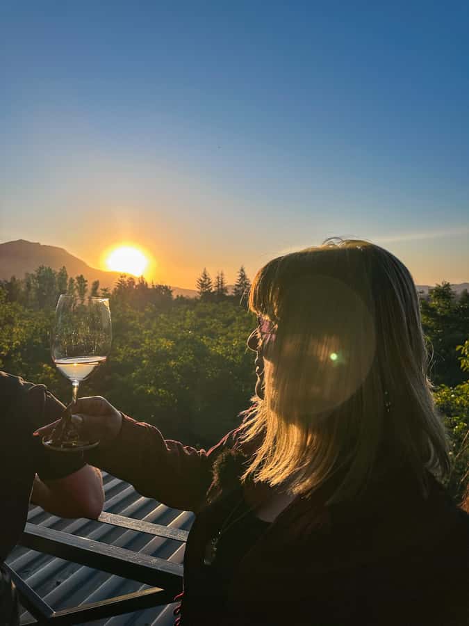 Santiago: Alyan Winery Sunset with Wine Tastings and Dinner - Cheese, ham, nuts, and an informal dinner