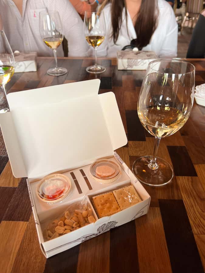 Santiago: Alyan Winery Sunset with Wine Tastings and Dinner - What the $111 cost means