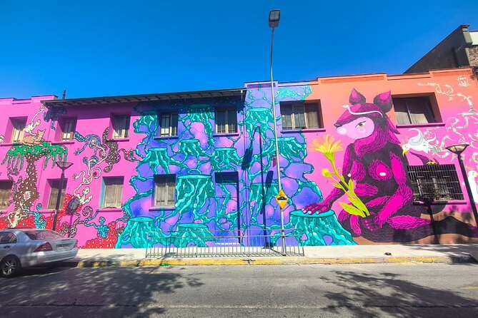 Santiago Barrio Yungay Street Art Walking Tour Experience - Key points before you book