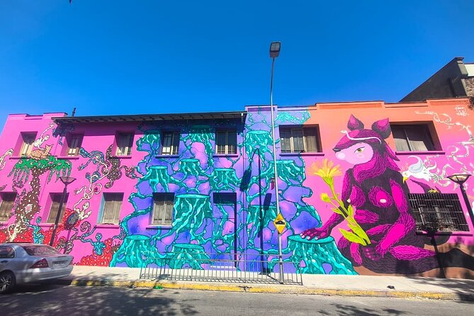 Santiago Barrio Yungay Street Art Walking Tour Experience - Walking through Barrio Yungay’s old streets and murals