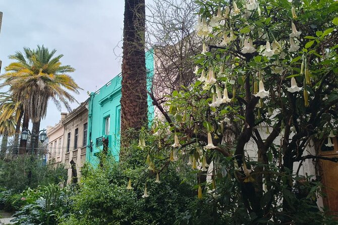 Santiago Barrio Yungay Street Art Walking Tour Experience - Finishing in Concha y Toro