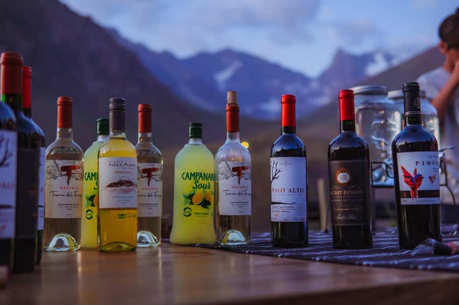 Santiago: Cajón del Maipo Hot Springs & Chilean Barbecue - A Chilean barbecue with wine and local flavor