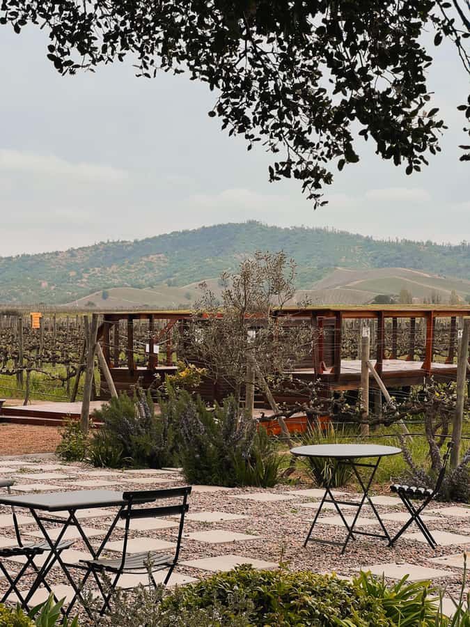 Santiago: Casa del Bosque Winery with Tasting and Lunch - Leaving Santiago for Casablanca Valley