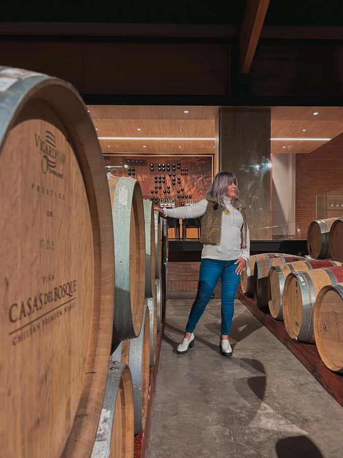 Santiago: Casa del Bosque Winery with Tasting and Lunch - Who will enjoy this afternoon most?