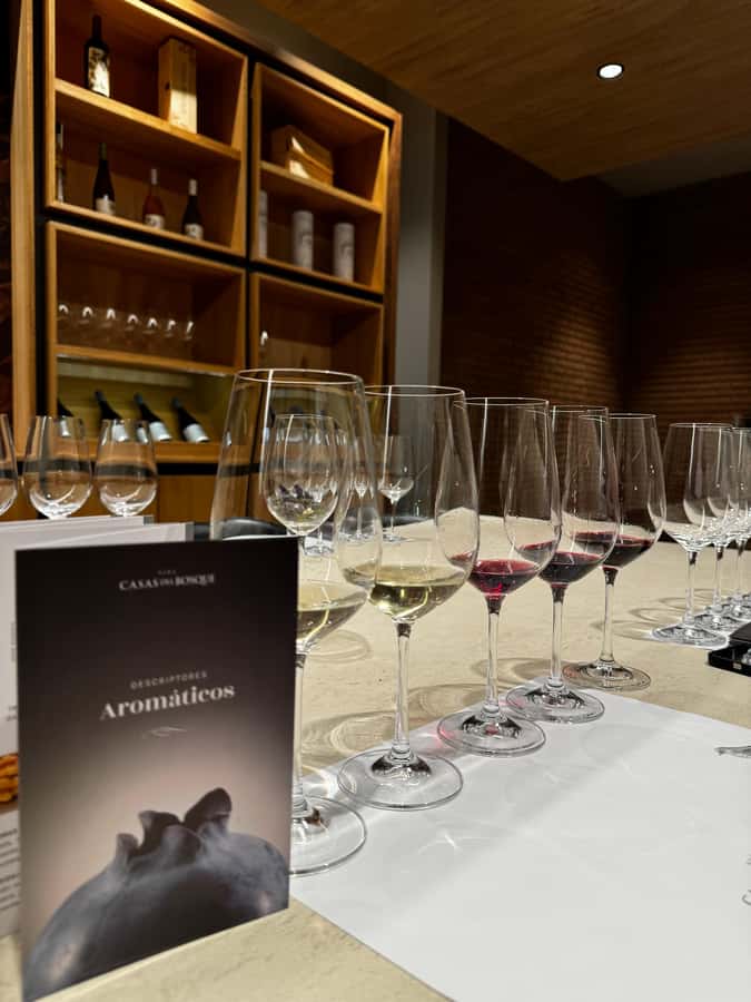 Santiago: Casa del Bosque Winery with Tasting and Lunch - Should you book Casa del Bosque Winery?
