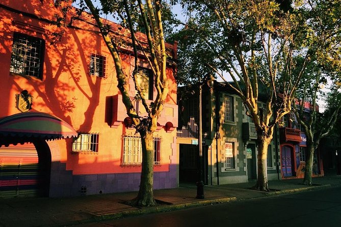 Santiago city tour - Cerro Santa Lucía: terraces, steps, and a choice
