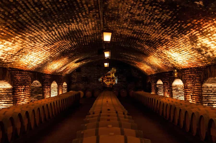 Santiago: Concha y Toro and Undurraga Vineyards Tour - Key points to know before booking