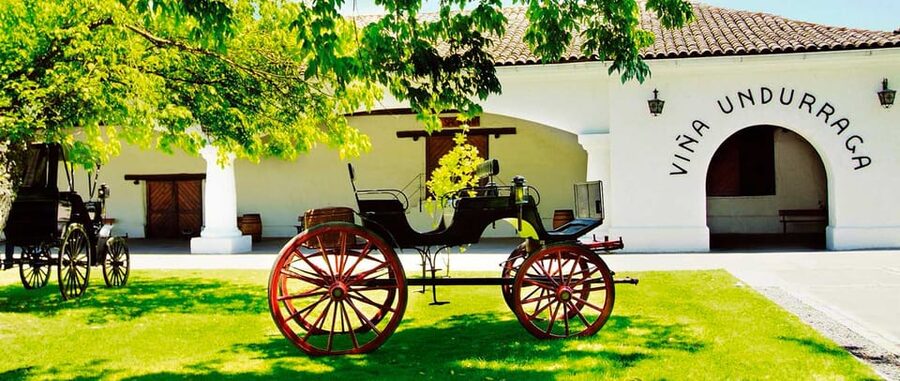 Santiago: Concha y Toro and Undurraga Vineyards Tour - Language and guiding: two separate experiences