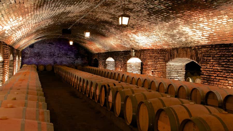 Santiago: Concha y Toro Vineyard Tour w/ Transfer & Tasting - Key points before you book