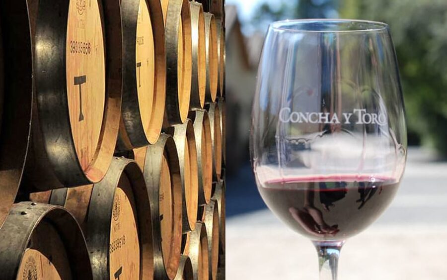Santiago: Concha y Toro Vineyard Tour w/ Transfer & Tasting - Price, timing, and practical value