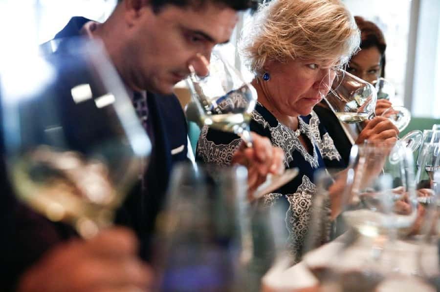 Santiago: Concha y Toro Winery 4–Hour Tour & Sommelier Class - Five things to know before you book
