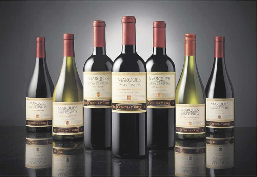 Santiago: Concha y Toro Winery 4–Hour Tour & Sommelier Class - How the guides and operator affect the day