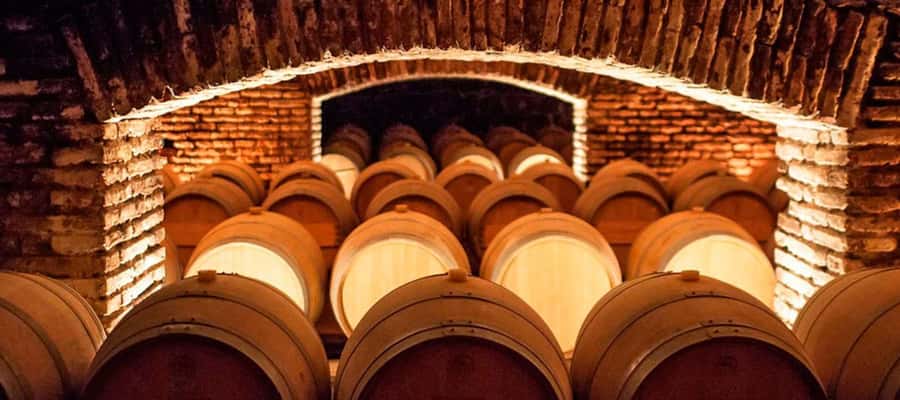 Santiago: Concha y Toro Winery 4–Hour Tour & Sommelier Class - Gardens, architecture, and the former summer residence