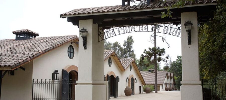 Santiago: Concha y Toro Winery 4–Hour Tour & Sommelier Class - Three standard pours before the premium session