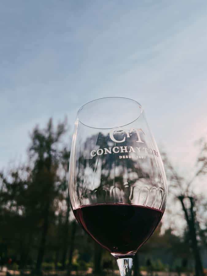 Santiago: Concha y Toro with transfer, tasting & gift cup - Key points to know before booking
